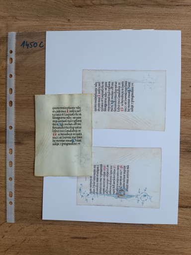 1450 r. Zdobiony złotem inicjał D ozdobiony roślinnym ornamentem