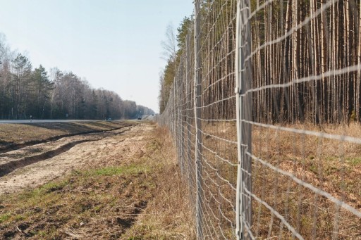Siatka ogrodzeniowa leśna 160/11/15 L - rolka 50 m