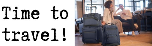 W41 Airtex Small PP 40L чемодан для ручной клади 55x40x21см