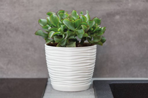 Doniczka Sahara Petit z podstawką Biała 27 cm