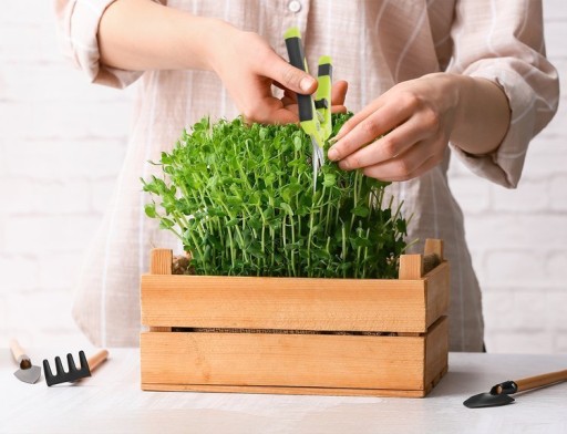 Ножницы для обрезки Herbgarden Ножницы/секаторы