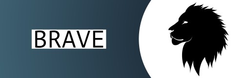 BRAVE ОЧКИ ДЛЯ БЛОКИРОВКИ ЭКРАНА КОМПЬЮТЕРА СИНИЙ СВЕТ СИНИЙ СВЕТ