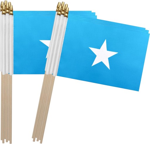 100SZT DREWNIANY KIJ SOMALIA FLAGA SOMALIJSKA MAŁA MINI FLAGA RĘCZNA