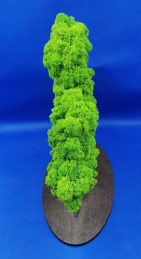 Дерево бонсай с 3D мхом, красивый мох со всех сторон