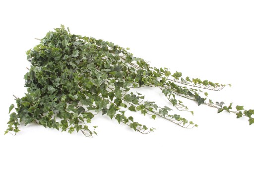 Искусственный плющ 120 очень реалистичный HEDERA