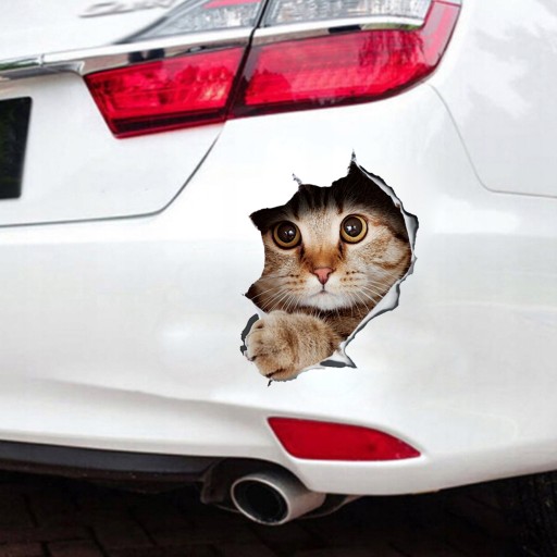 NAKLEJKA na samochód KOTY KOTKI CATS 21*29 cm