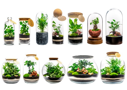 КУСОК ЛЕСА Лес в банке набор своими руками DIY S