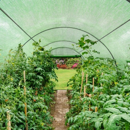 Туннель для пленки для овощных садов 8m2 4x2 GREEN Туннель для овощных садов