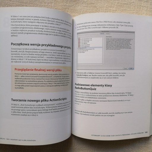 ActionScript 3.0 для Adobe Flash CS4/CS4 PL Professional + компакт-диск