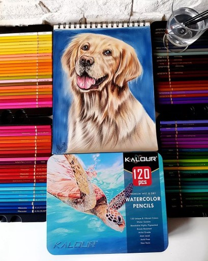 ПРОФЕССИОНАЛЬНЫЙ НАБОР KALOR ARTISTIC PENCIL