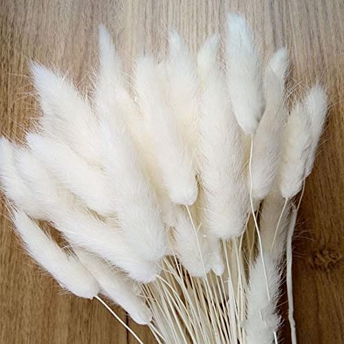 Одуванчик яйцевидный сушеный Lagurus Natural White