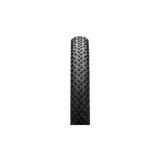 SCHWALBE Racing Ray Performance 29x2,25 TLR Addix