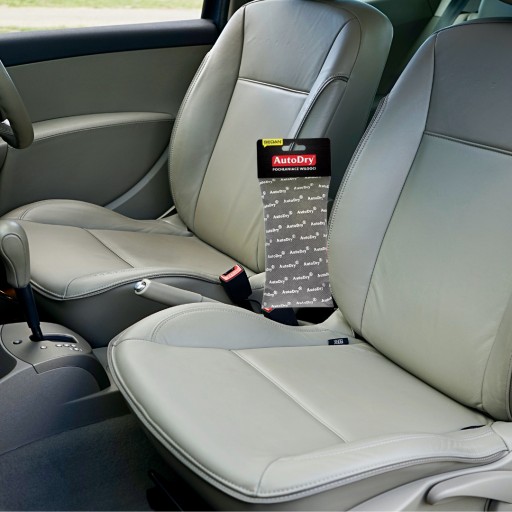Поглотитель влаги Sedan AutoDry 250г