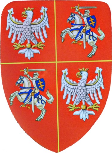 РЫЦАРСКИЙ ЩИТ Для ребенка рыцарский костюм МЕЧ