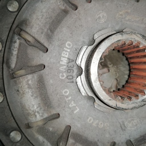 55217867