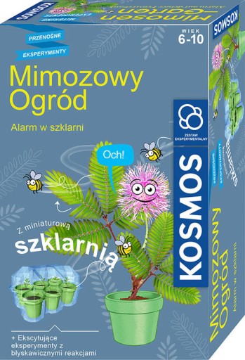 Мимоза Сад