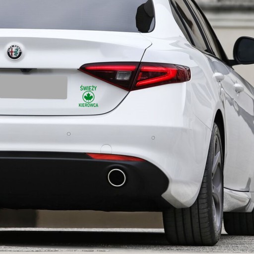 Автомобильная наклейка Green Leaf Fresh Driver 13х11 см - Новичок