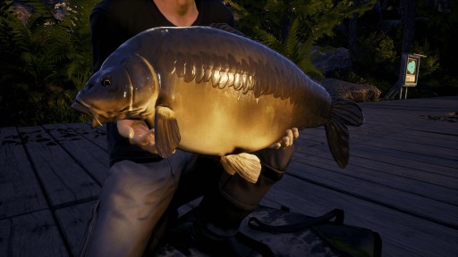 КЛЮЧ «DOVETAIL GAMES EURO FISHING» ДЛЯ XBOX ONE/SERIES
