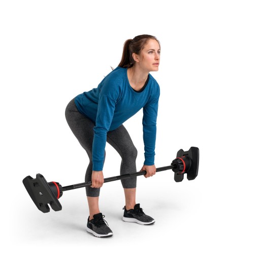 НАБОР РЕГУЛИРУЕМЫХ РУЛЕВ BOWFLEX 2080 SELECTTECH