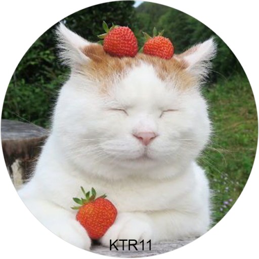 Рождественский обрезок для торта «Кот, котик, кошка» — сахарная печать, круглый, 20 см, на день рождения