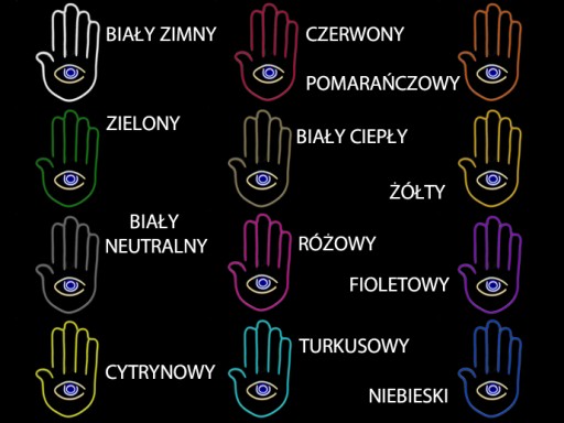 NDLON OUTLINE OF HAND + EYE PC5 NEON LED FLEX ŚWIDNIK