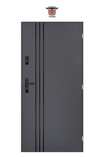 ВНЕШНИЕ ДВЕРИ ИЗ ПОЛЬСКОЙ ИНОКС SLED1L ЧЕРНЫЕ 55MM 90