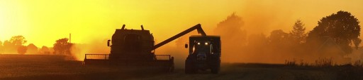 НАКЛОННАЯ ПОДАЮЩАЯ ЦЕПЬ NEW HOLLAND CX, TX RAIBUD