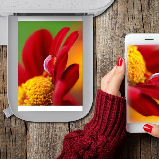 Бумажные картриджи Картридж для принтера HP SPROCKET STUDIO+ STUDIO + PLUS / 108x
