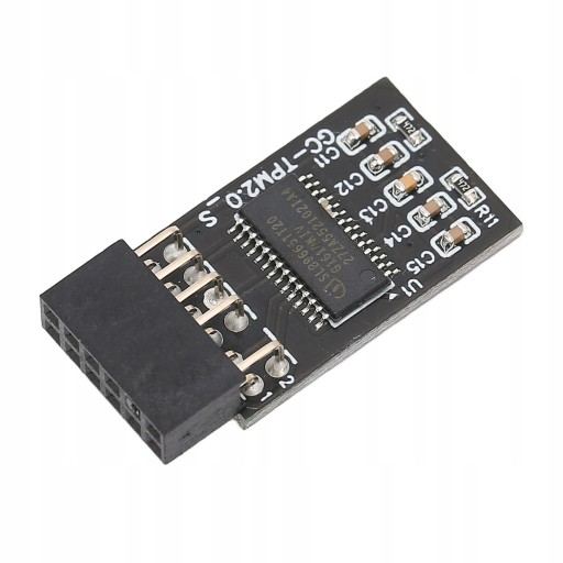 МОДУЛЬ БЕЗОПАСНОСТИ TPM2.0 GIGABYTE PLATFORM12PIN