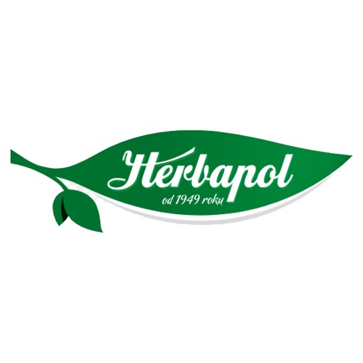HERBAPOL BREAKFAST WINTER SECRET фруктовый чай экспресс 20 КОНВЕРТОВ