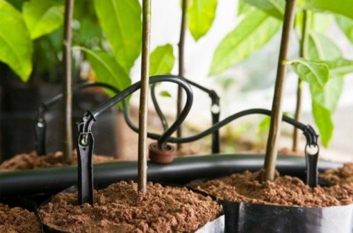 Kroplownik z kompensacją ciśnienia 2 l/h (100szt)
