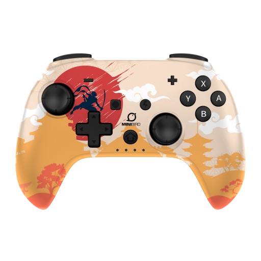 Разноцветная беспроводная панель для консоли Nintendo Switch.