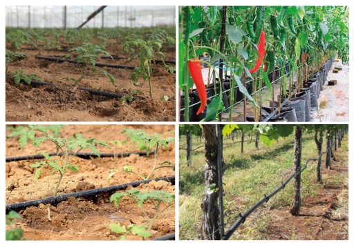 DRIPPER HYDRATION DRIP LINE 100+124 XL Без компенсации Strong