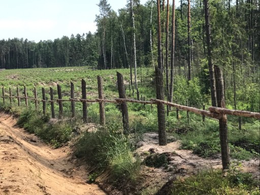 СЕТКА ДЛЯ ЛЕСНОГО ЗАБОРА высота 150см, рулон 50м