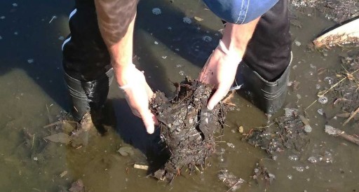10 КГ МЕЛ ДЛЯ ПРУДА И ВОДЫ Прудовая рыба, карбонат извести