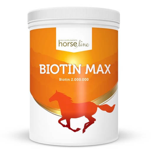Биотин Макс 1 кг HorseLine