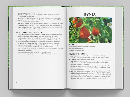 Бумажная книга infouprawa КАК ВЫРАСТИТЬ ОВОЩИ - Выращивание до 64 овощей