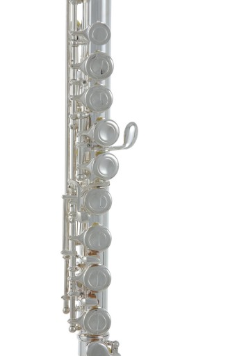 Roy Benson FL-402E C Поперечная флейта