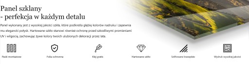 Панель из закаленного стекла для кухни оранжевого цвета, апрель