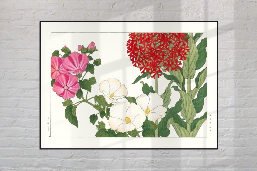 KLARKIA DZIEROTKA ALLAMANDA sztuka japońska dekoracja vintage 21x30 (A4)