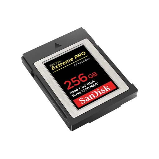 Флэш-память SanDisk SDCFE-256G-GN4NN 256 ГБ CFexpress
