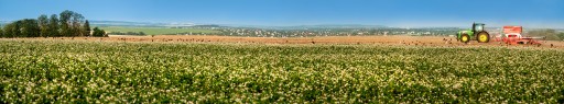 АНТИАЛЛЕРГИЧНЫЙ МАТРАС 90х200 ГРЕЧЕЧНАЯ ЛУЧА + ПОДУШКА