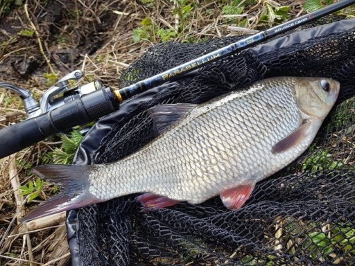Удилище SAVAGE GEAR Parabellum CCS 279см 5-18г + GRAT