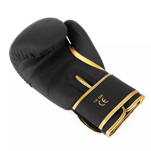 БОКСЕРСКИЕ ПЕРЧАТКИ GOLD DRAGON DBX BUSHIDO ДЛЯ ТРЕНИРОВКИ СПАРИНГА, 16 унций