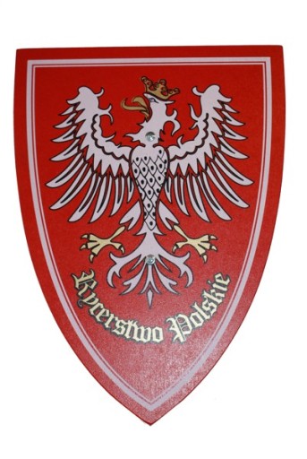 Костюм рыцаря, туника оруженосца меч 54 щит