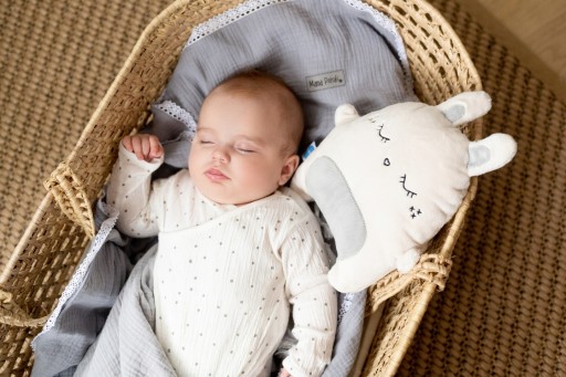NOISE BEAR FOR SLEEP COLIC NOISE RABBIT WHISPER БЕСПЛАТНЫЕ батарейки