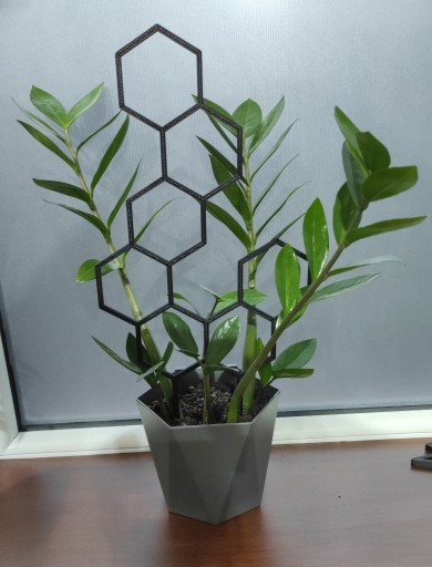 PODPÓRKA KWIATÓW ROŚLIN PERGOLA MIÓD 37cm