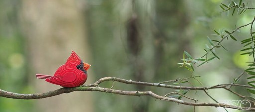 EkoEugy Пространственная головоломка Scarlet Cardinal