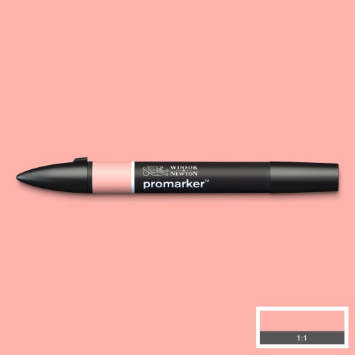 Утверждение Winsor & Newton Promarker Misty Rose R729