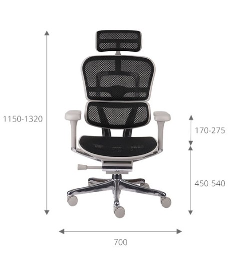 Офисное кресло Ergohuman 2 Elite Mesh, черный